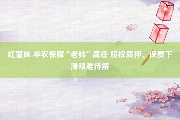 红薯妹 华农保障“老帅”离任 股权质押、保费下滑艰难待解