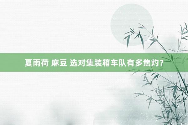 夏雨荷 麻豆 选对集装箱车队有多焦灼？