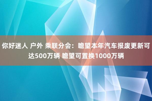你好迷人 户外 乘联分会：瞻望本年汽车报废更新可达500万辆 瞻望可置换1000万辆