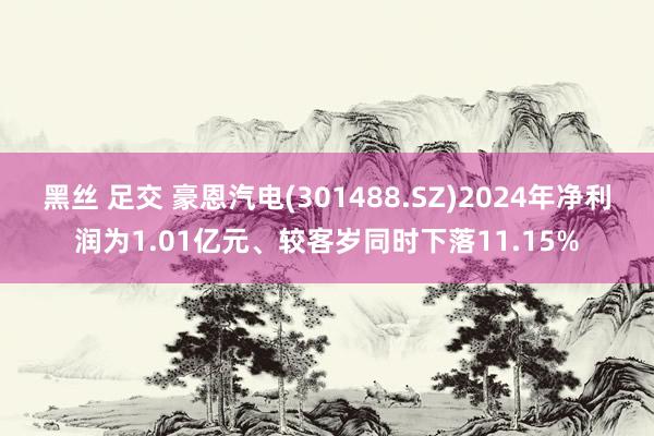 黑丝 足交 豪恩汽电(301488.SZ)2024年净利润为1.01亿元、较客岁同时下落11.15%