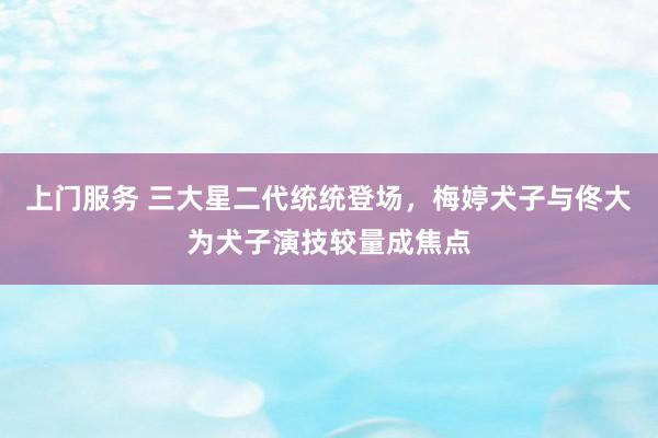 上门服务 三大星二代统统登场，梅婷犬子与佟大为犬子演技较量成焦点