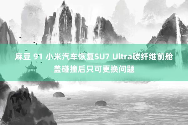 麻豆 91 小米汽车恢复SU7 Ultra碳纤维前舱盖碰撞后只可更换问题