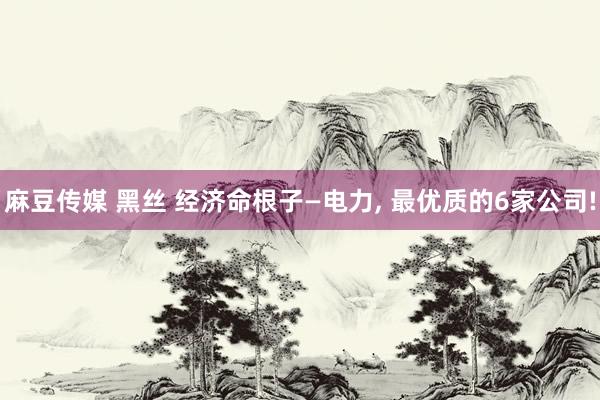 麻豆传媒 黑丝 经济命根子—电力, 最优质的6家公司!