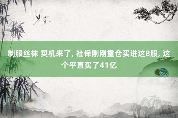 制服丝袜 契机来了, 社保刚刚重仓买进这8股, 这个平直买了41亿