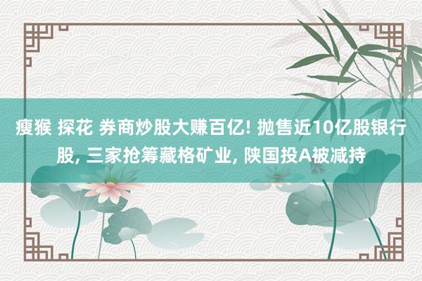 瘦猴 探花 券商炒股大赚百亿! 抛售近10亿股银行股, 三家抢筹藏格矿业, 陕国投A被减持