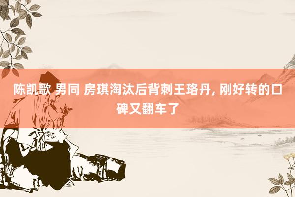 陈凯歌 男同 房琪淘汰后背刺王珞丹, 刚好转的口碑又翻车了