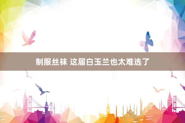 制服丝袜 这届白玉兰也太难选了
