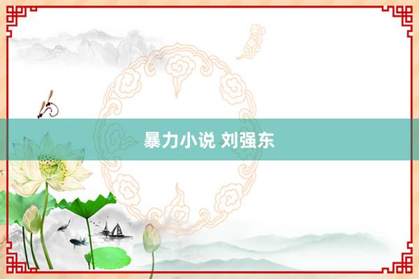 暴力小说 刘强东
